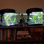 Review Image by marquelle marquelle