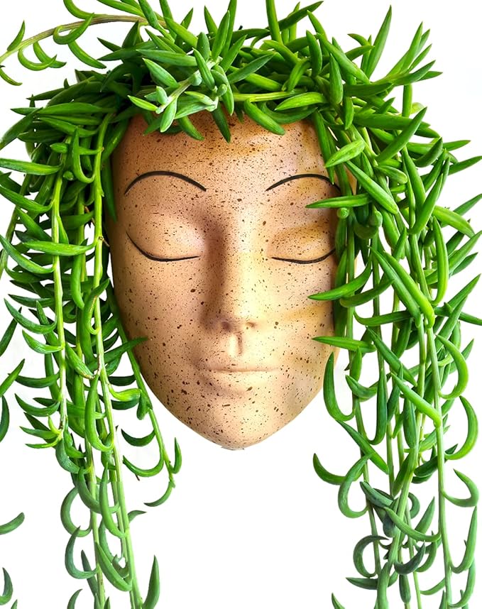 Bossa Linda Face Wall Planter Unique Face Pots for