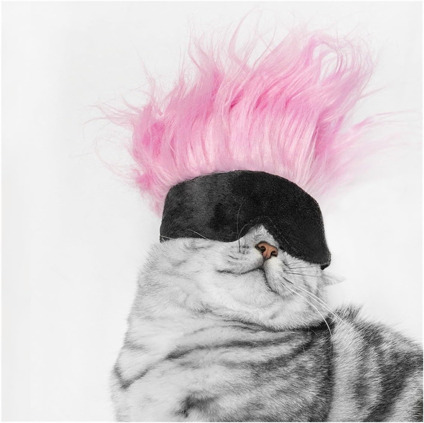 Pet Hair Costume Pet Wig Hat, Cat Wig, Pet Funny Party Hat, Dog Wig Funny Dog Cat Cosplay Wig (Color : A)