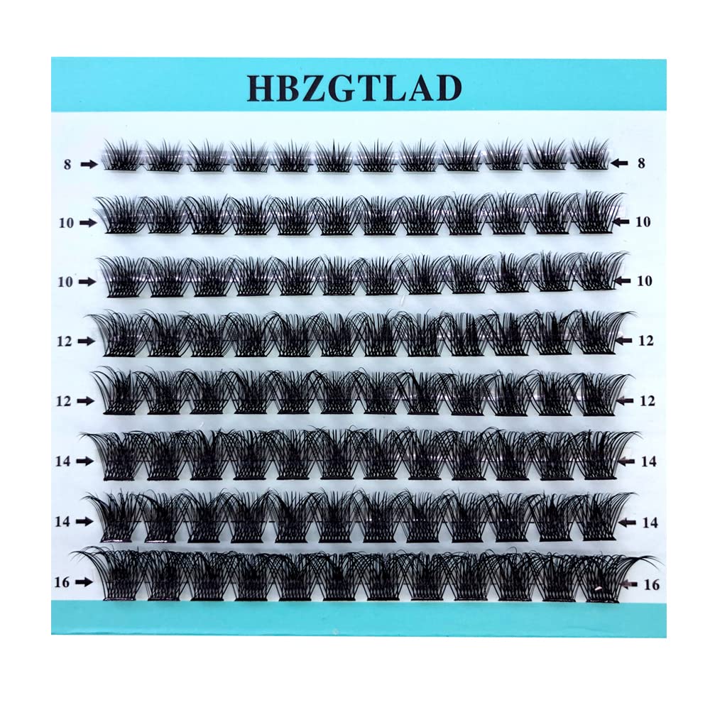 HBZGTLAD Mix 3D Fluffy Single Cluster False Lashes Premade Volume Fans Individual Eyelash Segmented Natural Fake Lashes For Eye Extension?Mixed Tray 96 Pcs (MIX-0.07mm-C Curl N1)