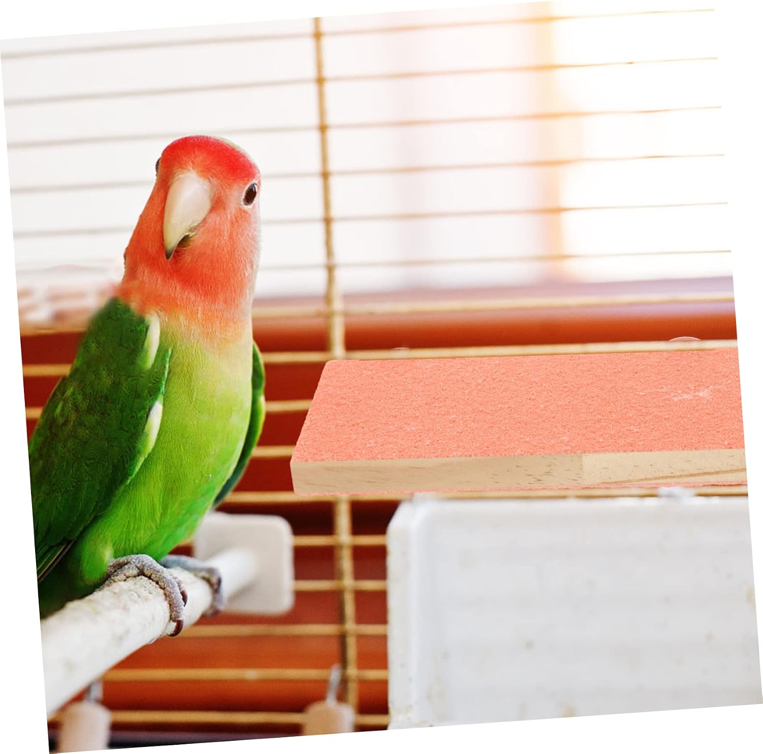 BESPORTBLE 2pcs Wooden Parrot Perch Platforms Easy to Install Rectangular Bird Stands for Parakeets Chew-Friendly Bird Cage Accessories Selection