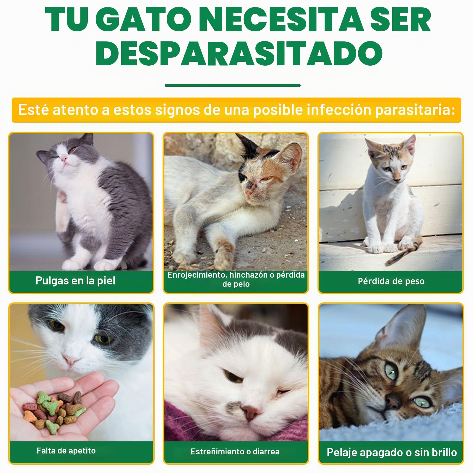 Ver-mi-fu-ge tópico en gotas para gatos 6 unidades, Ver-mif-UG-e Spot on para gatos, prevención de pulgas y garrapatas, fórmula natural fuerte, protección contra las alergias cutáneas, de 6 meses