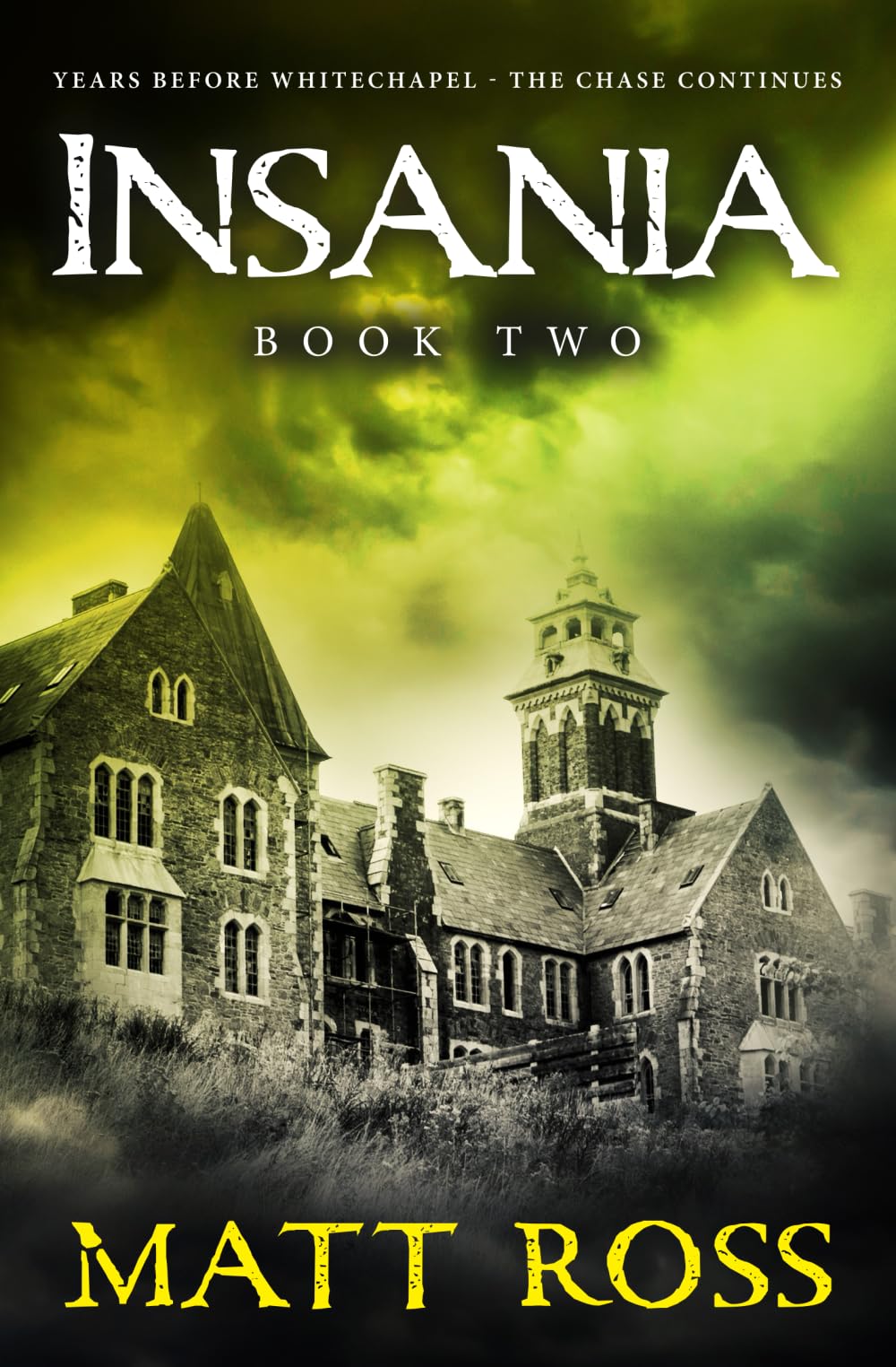 Insania: Book Two (The Ripper — five years before Whitechapel: the beginning)