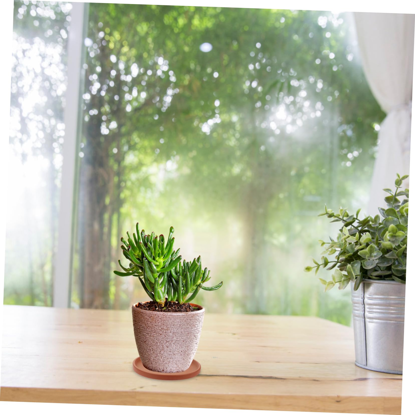 CIYODO Purple Clay Flower Pot Tray Terracotta Pot Tray Water Holding Trays Plant Garden Saucers Trays Flower Pot Holder Flower Pot Drip Tray Red Flowerpot Bonsai Dish Ceramics