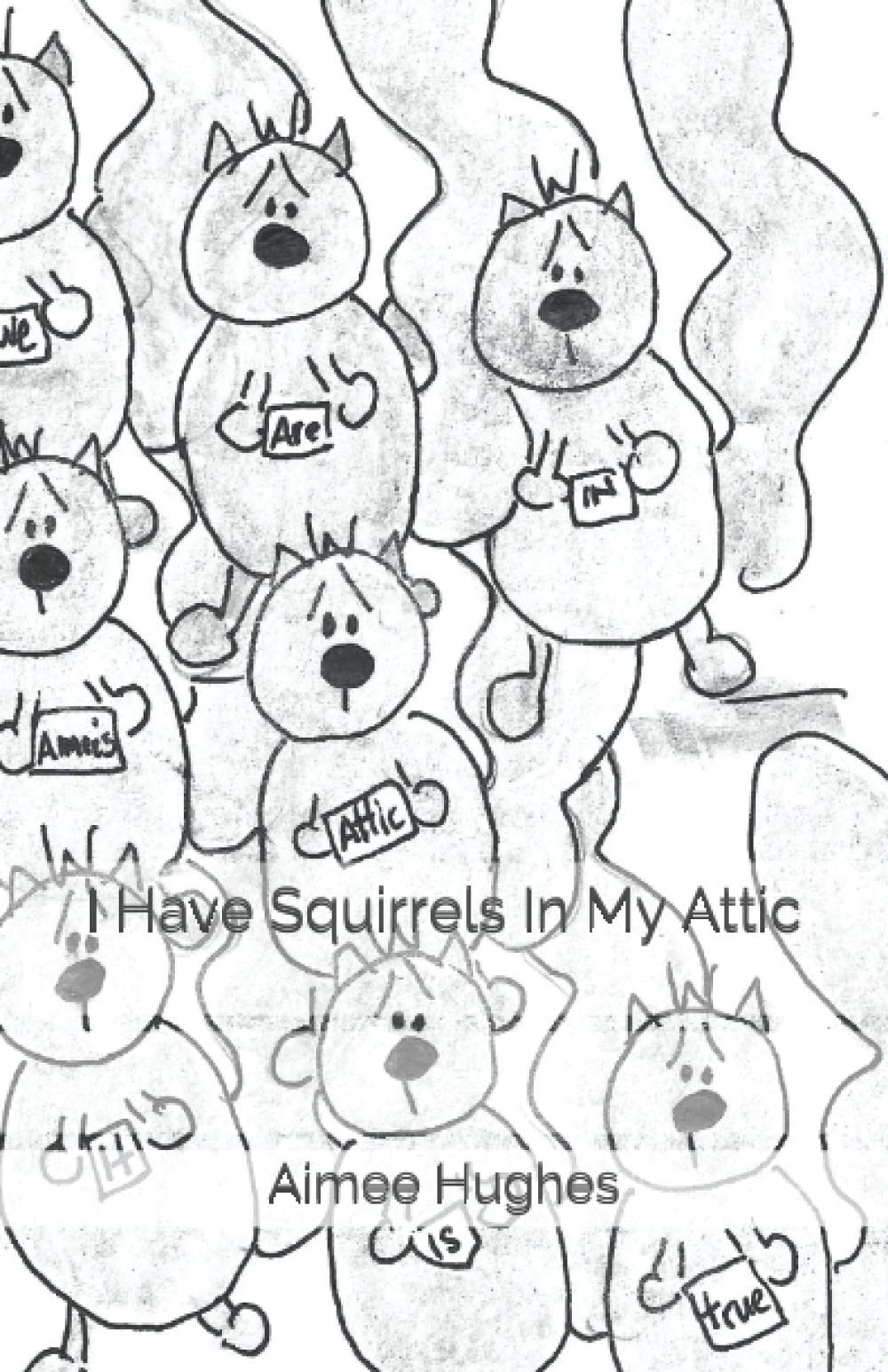 I Have Squirrels In My Attic