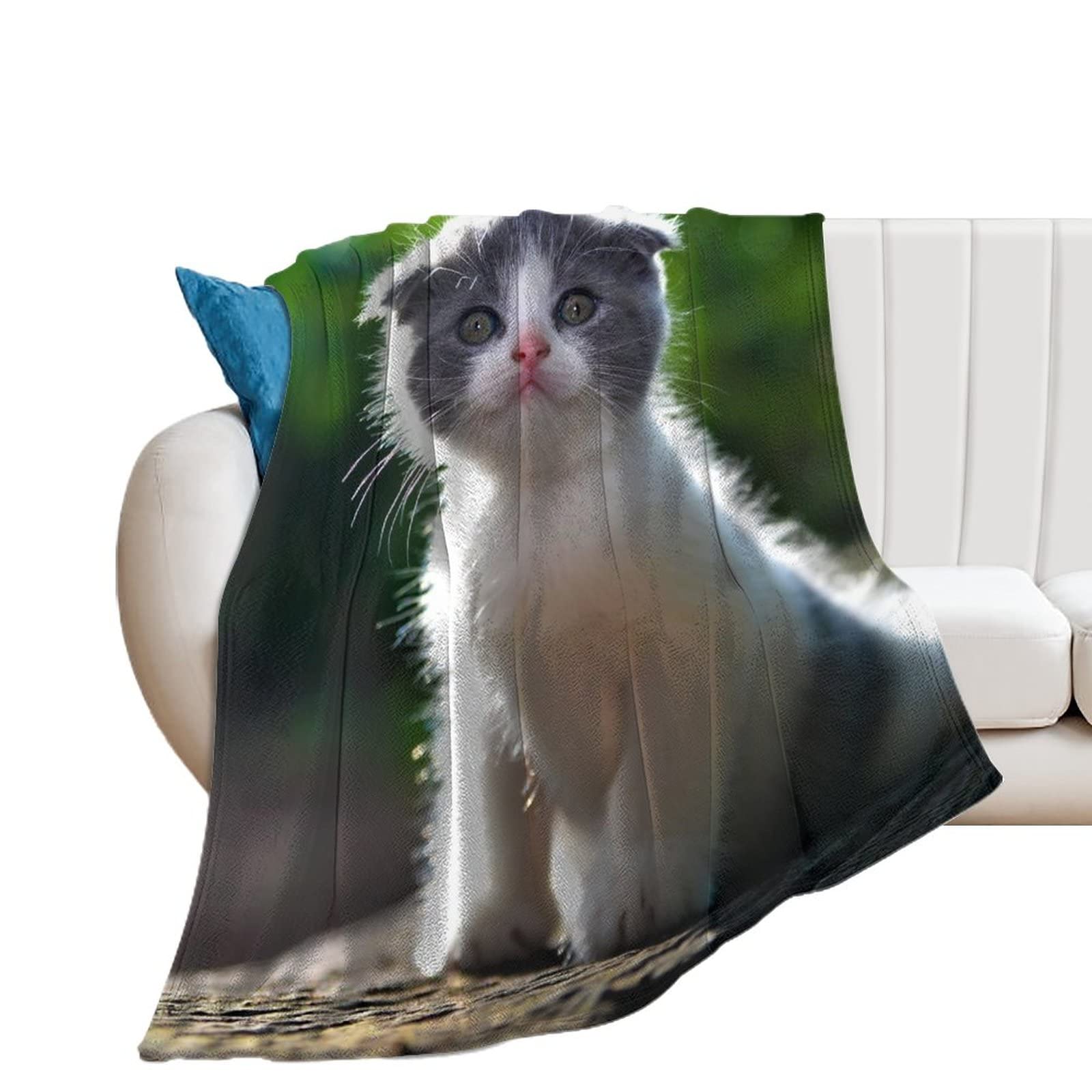 Couverture polaire chaton plaid doux en flanelle idée cadeau de tendresse