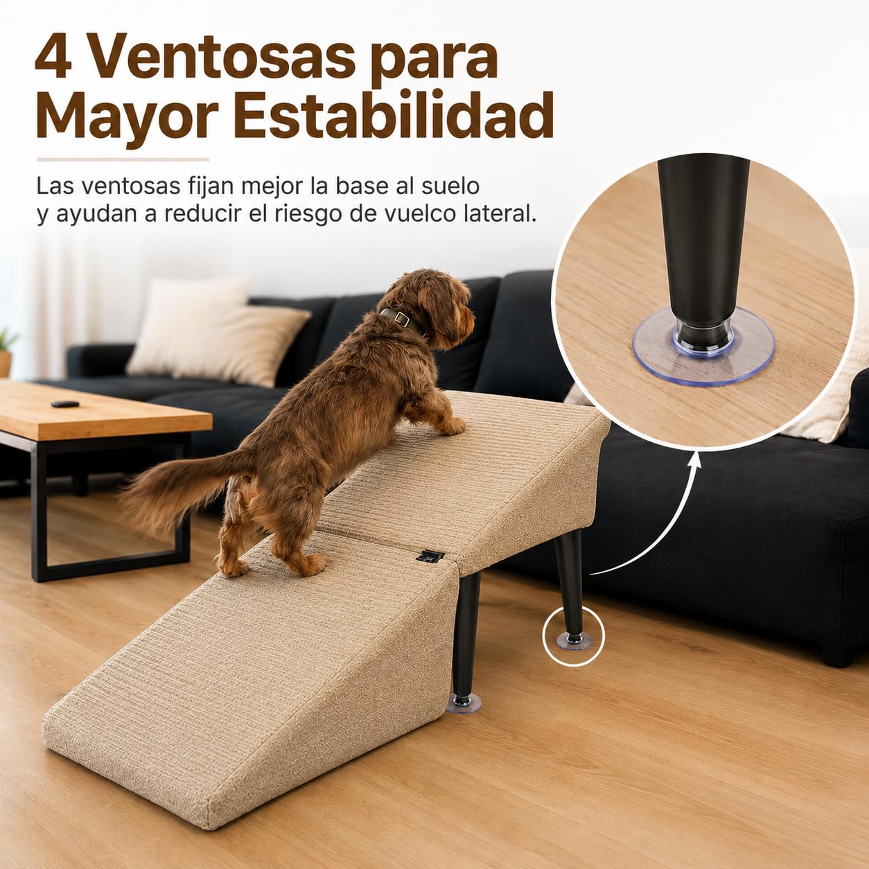 Rampa Plegable Perros con Ventosas, Antideslizante para Cama y Sofá Robusta y compacta Protege Las articulaciones de Mascotas Mayores Ahorra Espacio (Negro y Gris, Versión de Felpa)