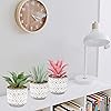 Product Photo 5