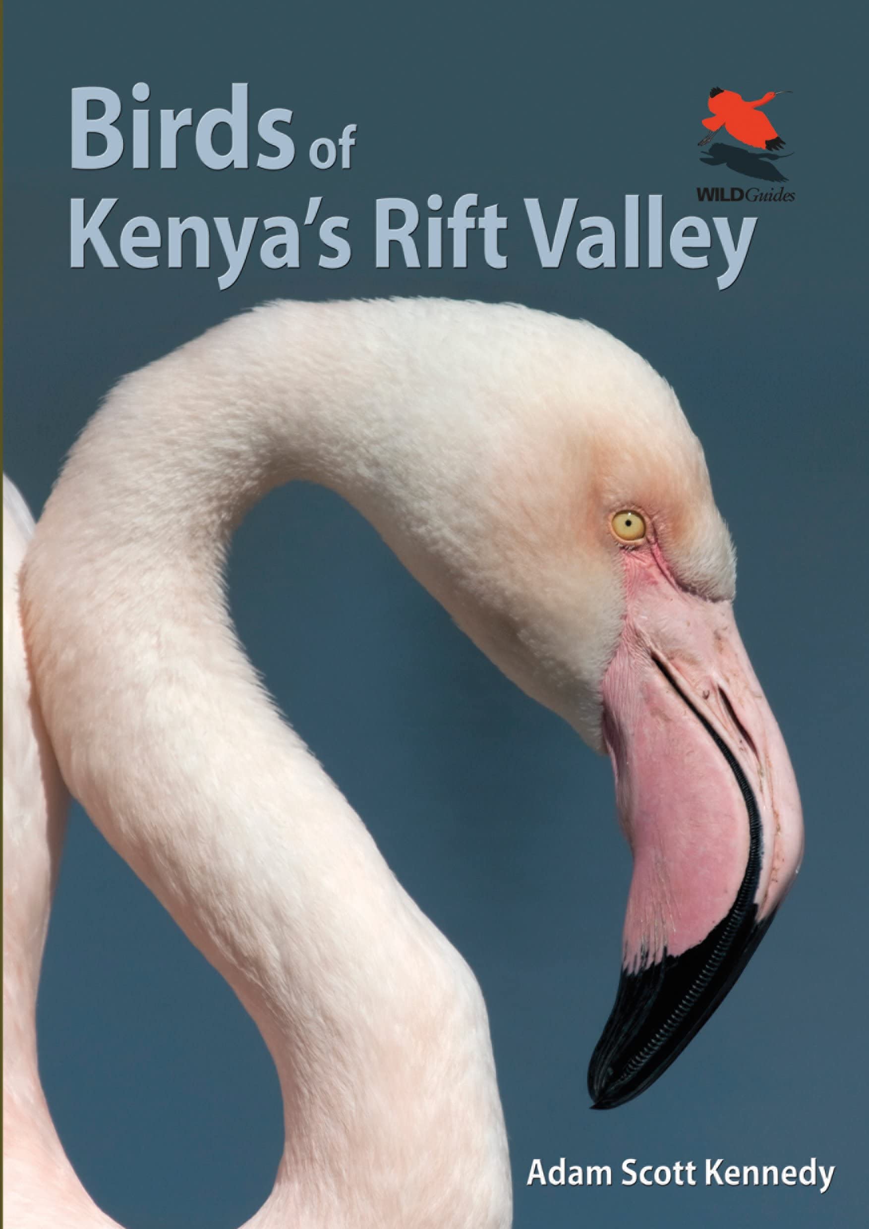 Birds of Kenya`s Rift Valley (WILDGuides),Kennedy, Adam Scott Ad