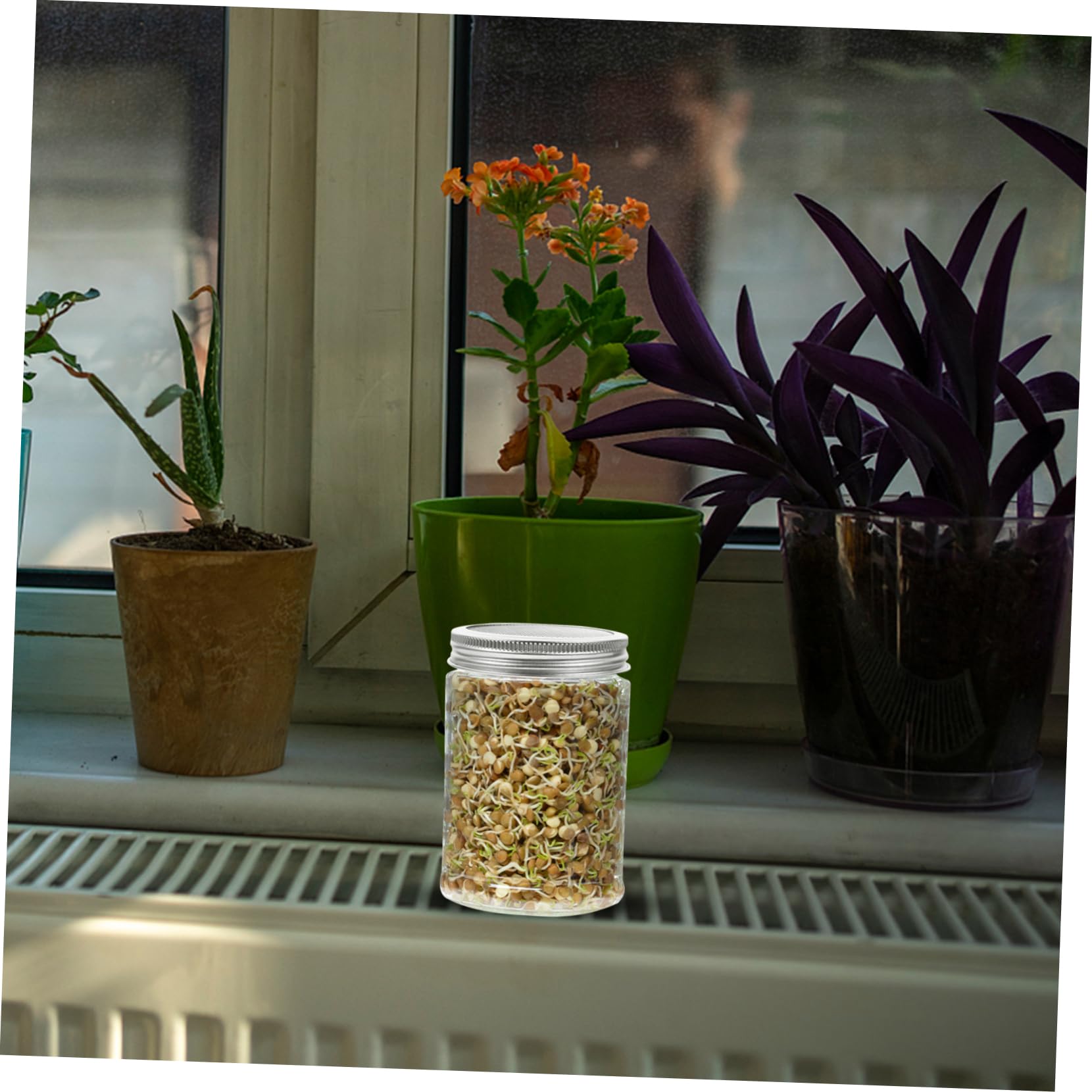 DECHOUS 6pcs Stainless Steel Sprouting Lids for Wide Mouth Mason Jars for Organic Sprouts Sifting Straining in Kitchen