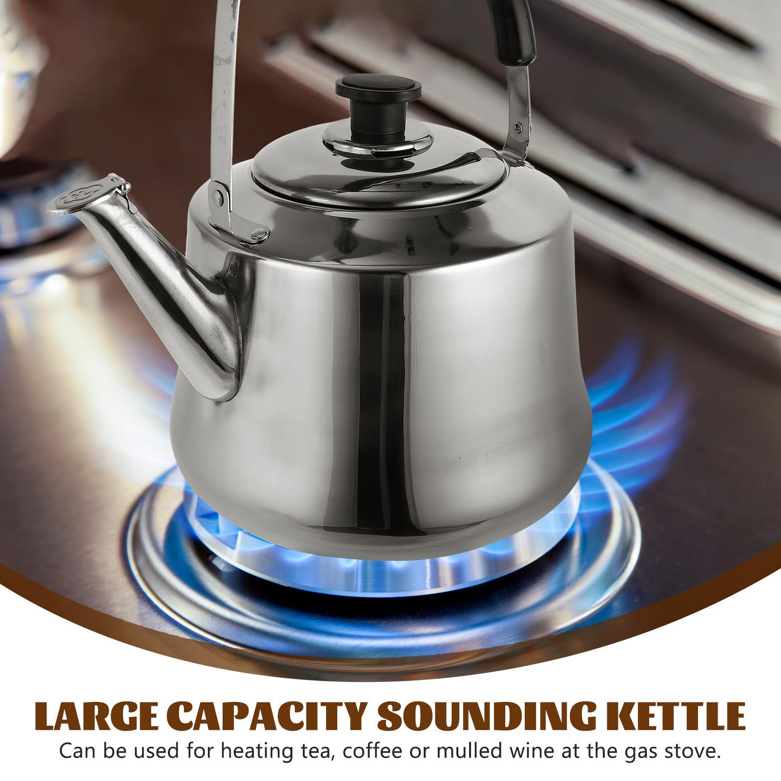 Tetera de Acero Inoxidable de 6 L Sonido para Cocina