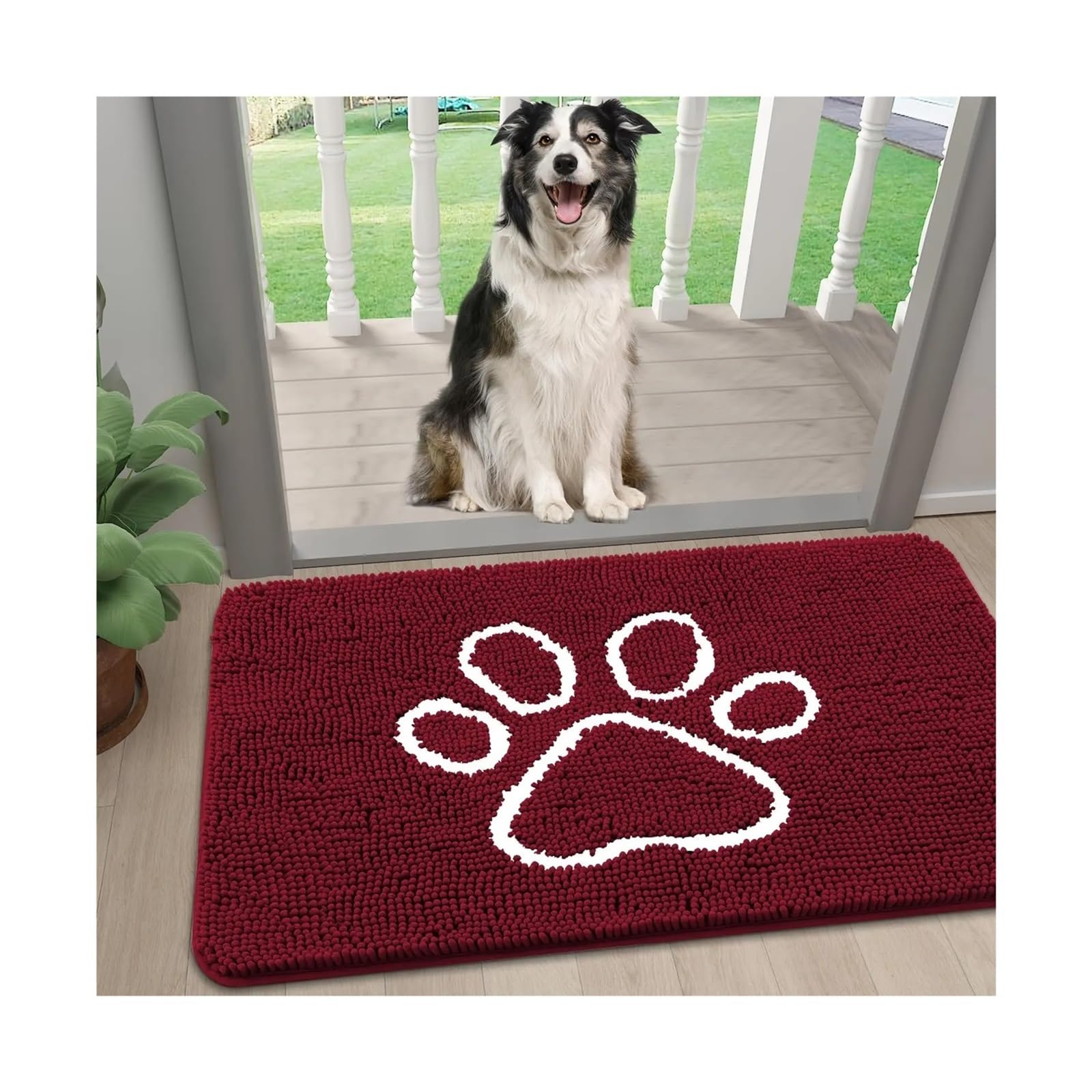 Paillasson pour pattes de chien boueuses entrée propre avec tapis chenille