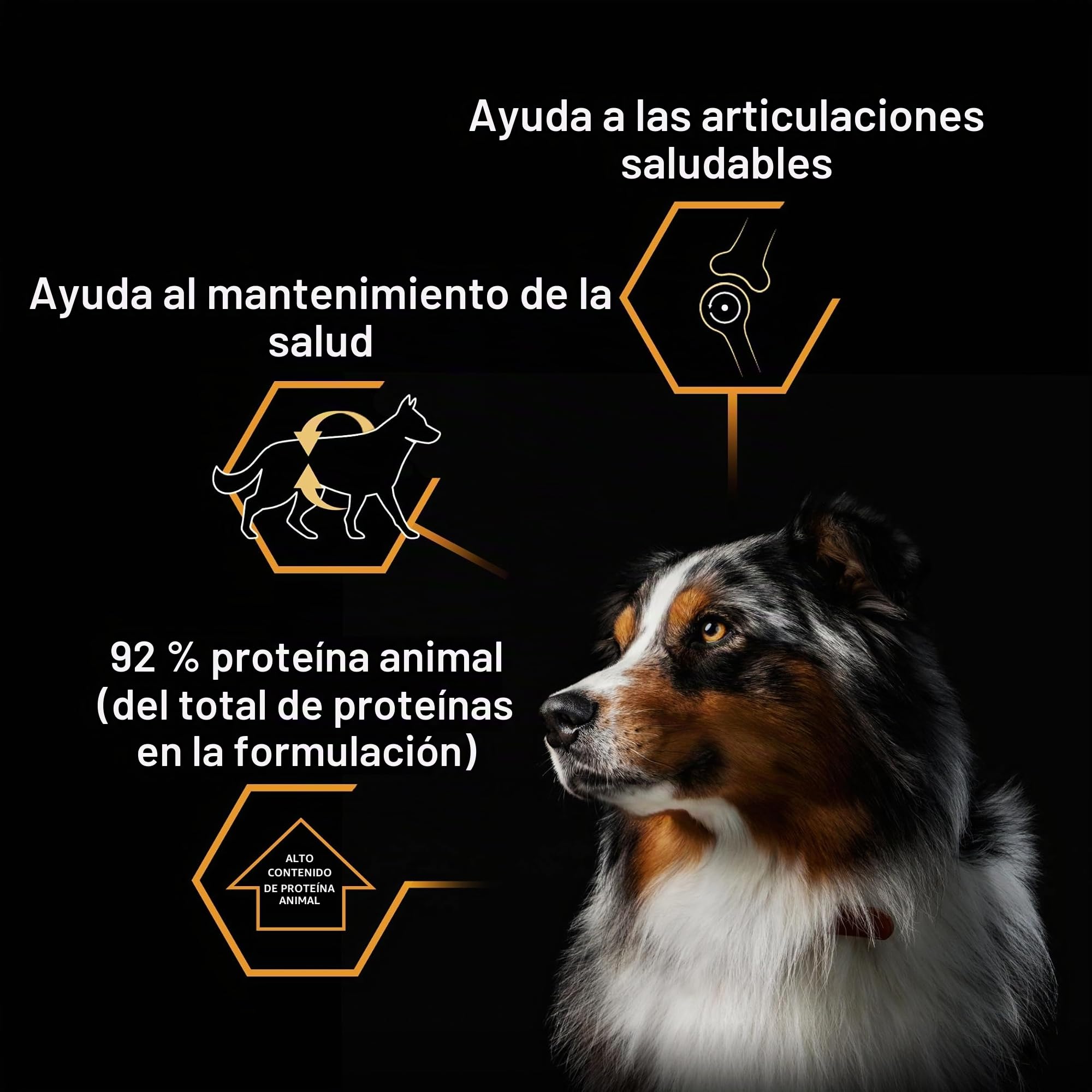 Pro Plan Comida Húmeda perro trozos gelatina Pescado 12x400 g