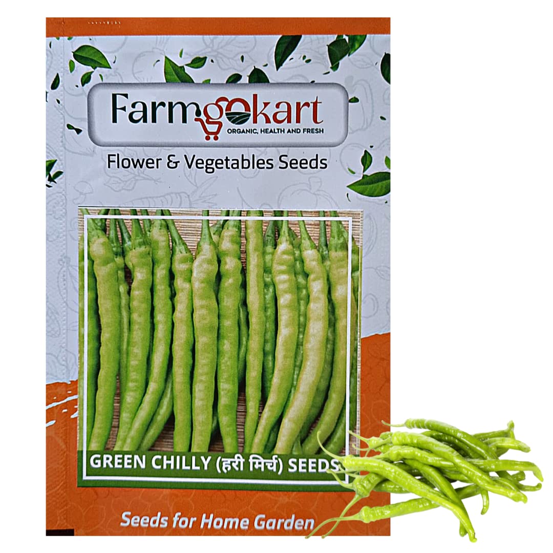 FARMGO 5 Gms - GREEN CHILLY (MIRCHI) SEEDS), Vegetable Seeds for Home Gardening, Farming, Hydroponics and Poly Houses