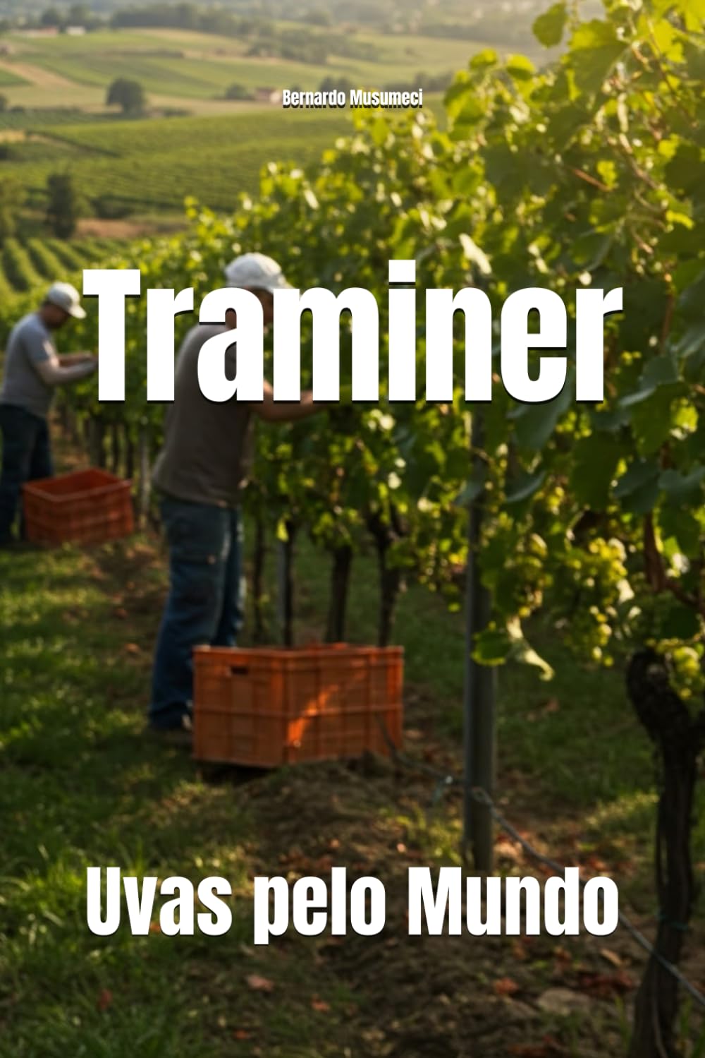 Traminer: Uvas pelo Mundo (Wines of the World)