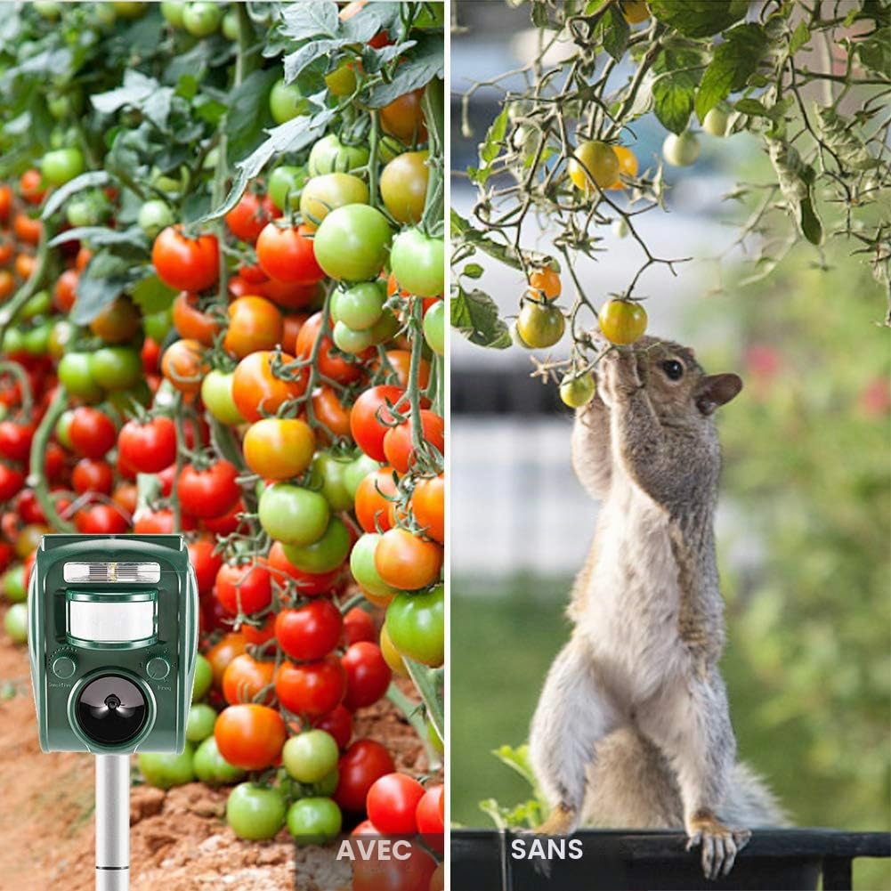 Livoni Répulsif à ultrasons pour chats et renards, répulsif solaire fonctionnant sur batterie pour animaux, répulsif pour chats, imperméable pour jardin, avec piquet au sol