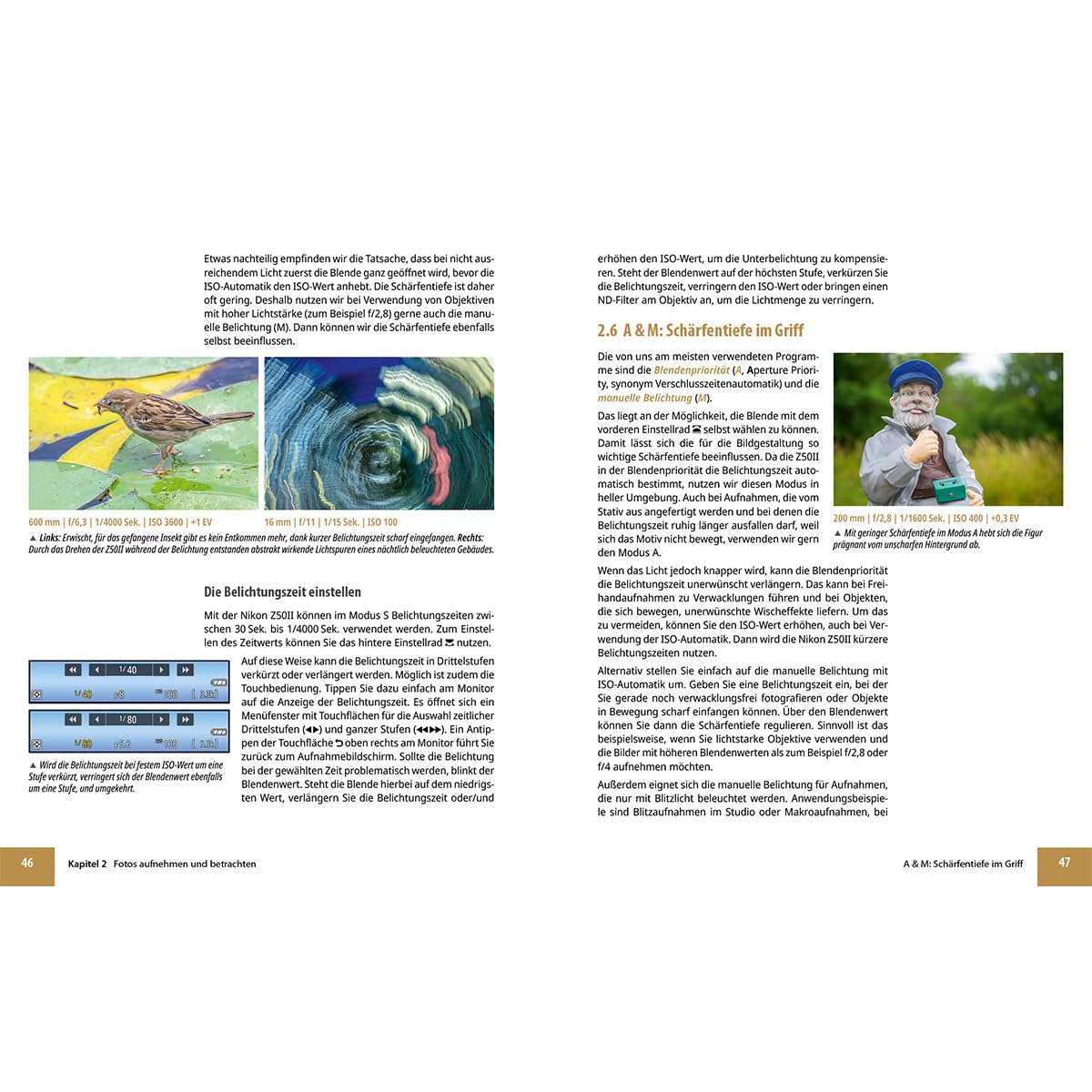 Nikon Z50 II: Das umfangreiche Praxisbuch zu Ihrer Kamera: Expertenwissen, Tipps, verständliche Anleitungen und praxisnahe Beispiele von Profifotografen - für beeindruckende Fotos und Videos