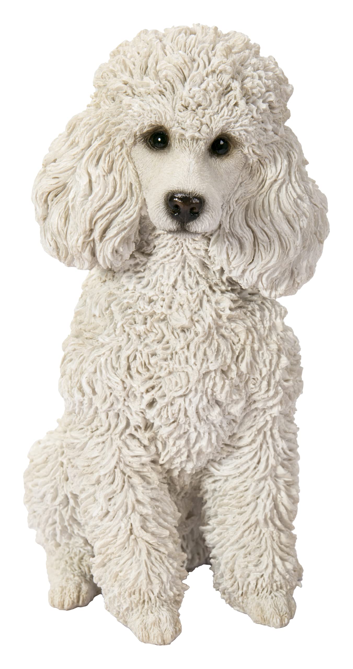 Vivid Arts Tan/White (Poodle Sitting
