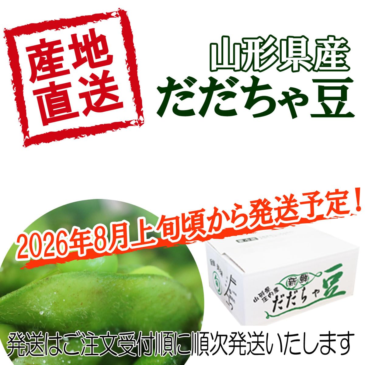 鶴岡産 だだちゃ豆 B品 5キロ 朝採れ クール便 農家直送 種 【公式通販】