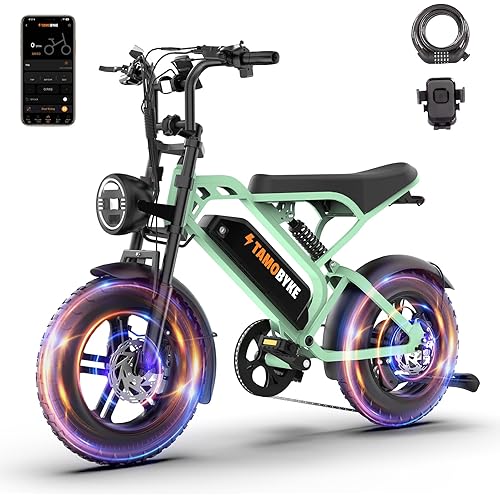 T16 Electric Bike for Teens & Childs, 1000W Motor 48V15.6Ah Removable Battery, 30MPH Off-Road Electric Bicycle,16"Fat Tire Ebike for Kids, 7-Speed,Dual Hydraulic Brakes, Fits Riders 4'5"-5'4"