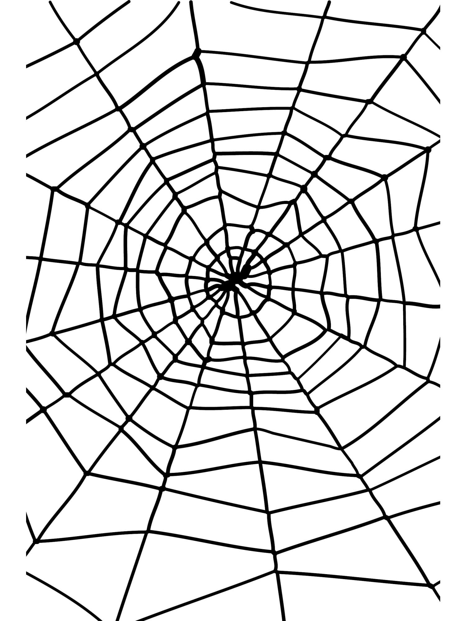 Smiffys Spider & Spiders Web, Black , Halloween Fancy Dress Accessory, Halloween Fancy Dress Accessories Dress Up Halloween decorations