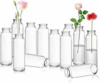 Lyellfe 12 Pack Vintage Glass Bud Vases - Clear Small Flower Vases Bulk for Weddings, Centerpieces, Office & Home Decor