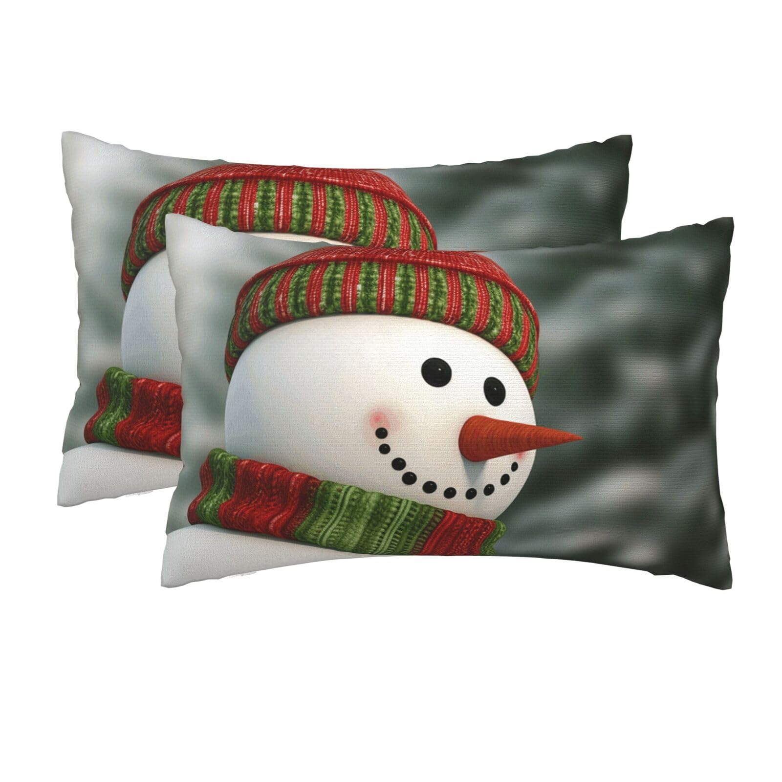 2 Pack Queen Size Pillow Cases for Hair and Skin Soft Breathable Pillow Case Covers with Hidden Zipper Smile Gaze Snowman Pillowcase 20x30 Inches Pillow Cover for Sleeping Gift