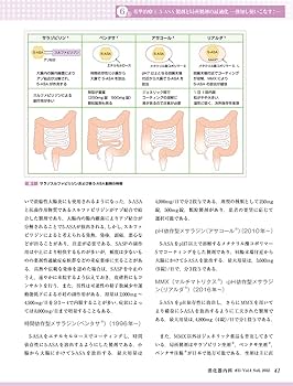 消化器内科 第31号(Vol.4 No.6,2022) 特集:潰瘍性大腸炎 内科