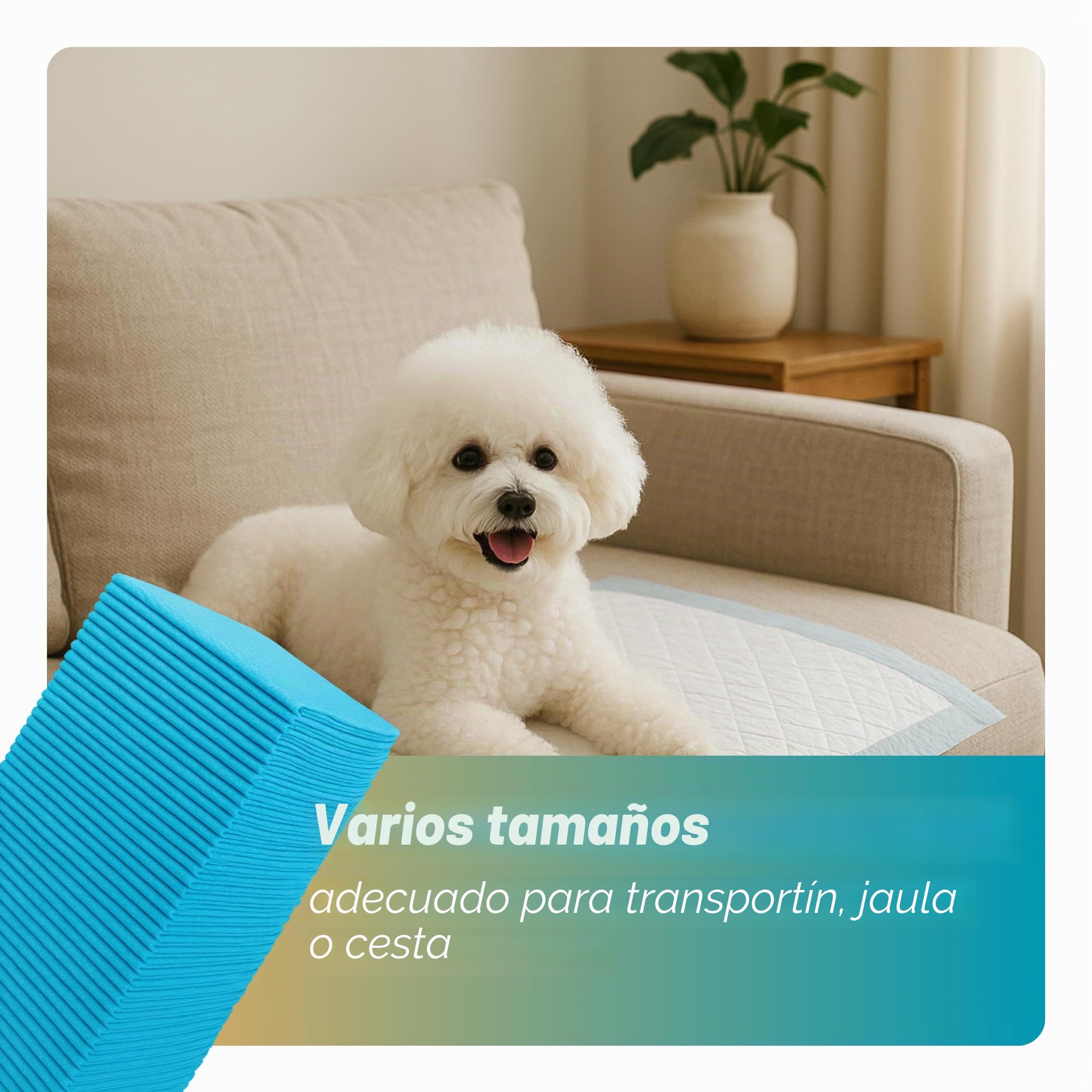 60x90 cm 500 Piezas Empapadores Higiénicos para Perros Cachorros 6 Capas Superabsorbentes Impermeables Secado Rápido Entrenamiento e Incontinencia