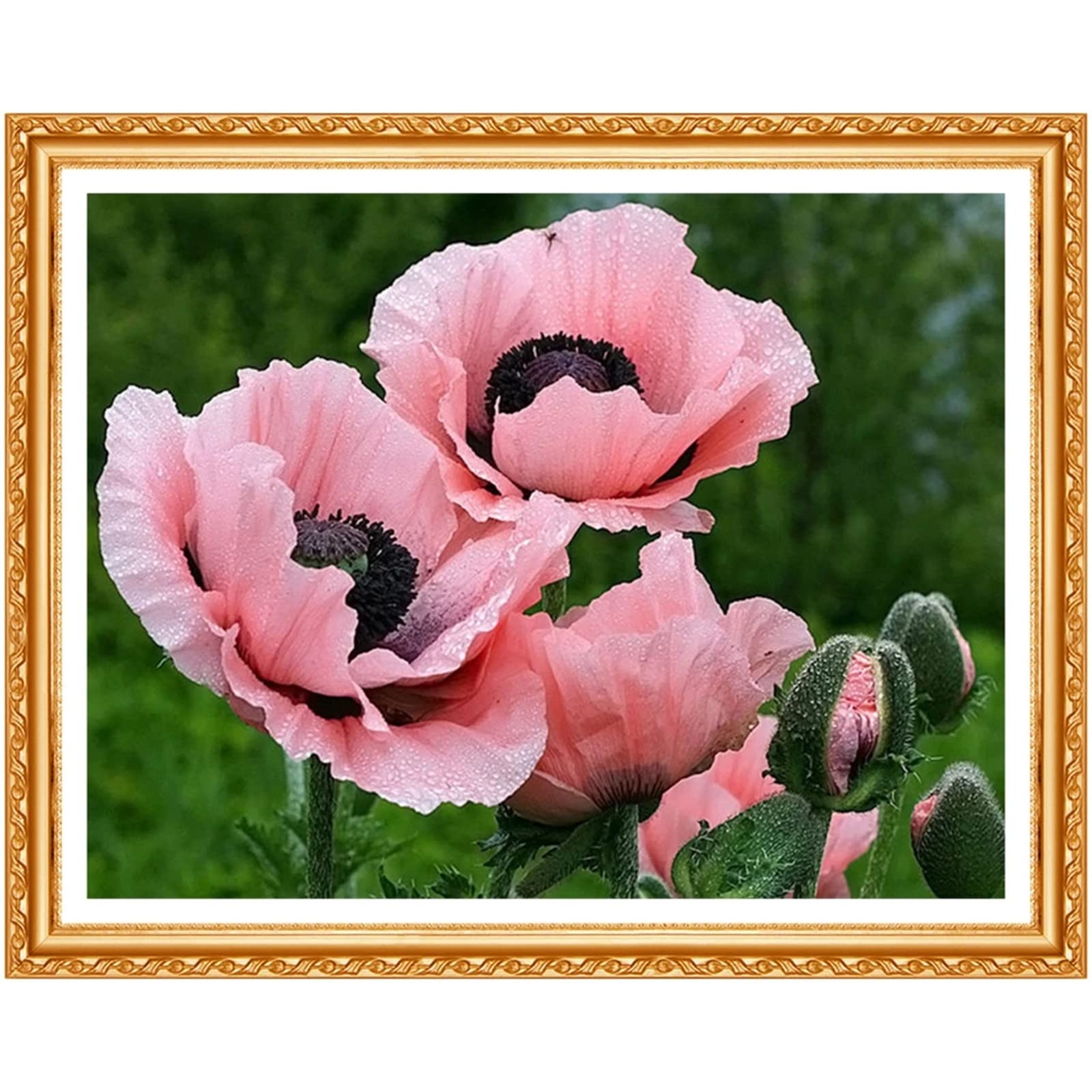 5D Diamond Painting Fiore Di Papavero: Relax E Creatività In Un Quadro Fai Da Te Da 100x40cm