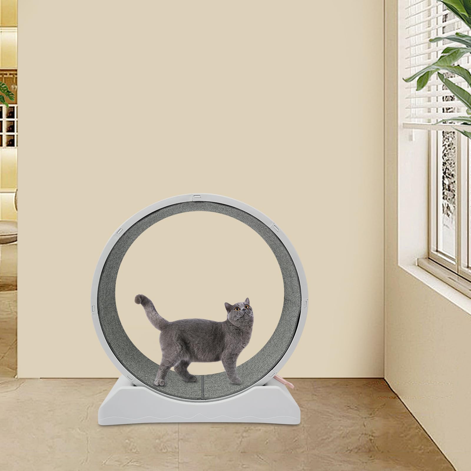 Ruota per gatti con blocco e bloccaggio, silenziosa protezione delle zampe bloccabile, giocattolo per gatti di casa, 80 cm