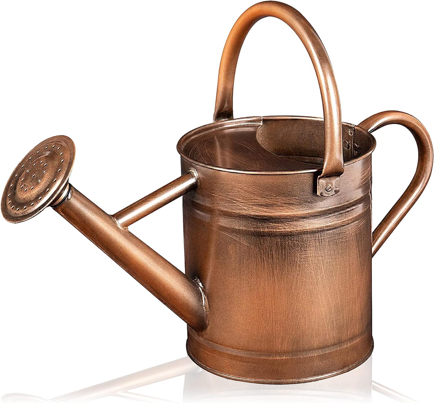 AquaFalcon Metal Watering Can - 81 oz Copper Watering Can with Removable Spout - Galvanized Indoor Watering Can - Bonsai Watering Can for Outdoor - Decorative Small Watering Cans for House Plants