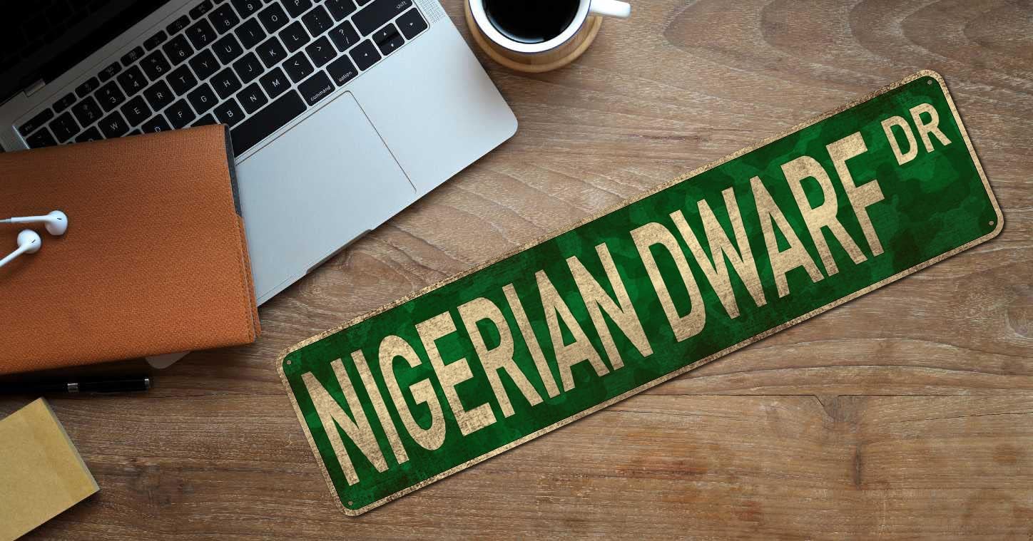 Nigerian Dwarf Dr. Street Sign, Goat Sign, 4" x 16" image 5