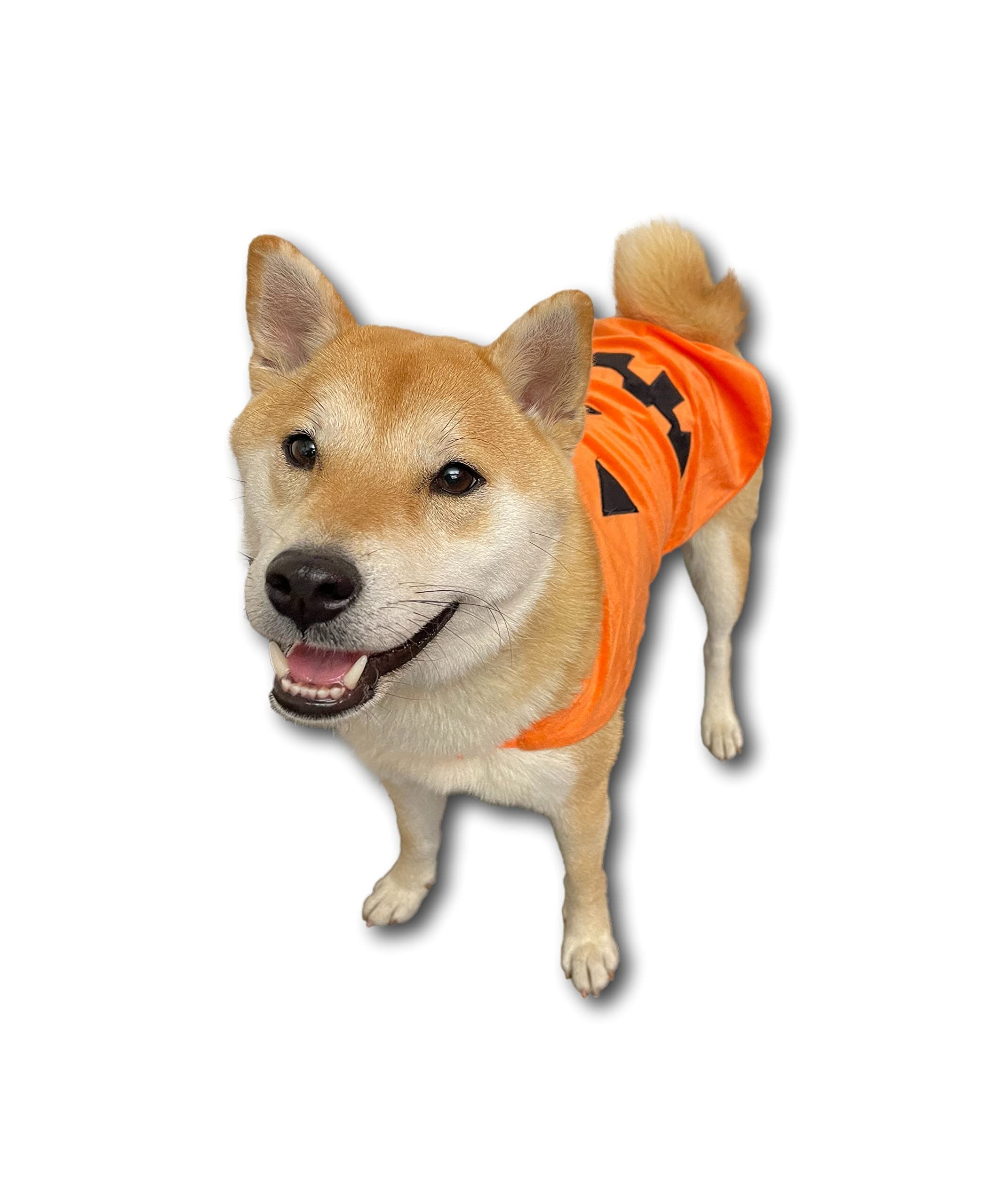 コスプレ衣装 inudog Amazon.com : ComfyCamper Pumpkin Dog Costume - X Large Medium