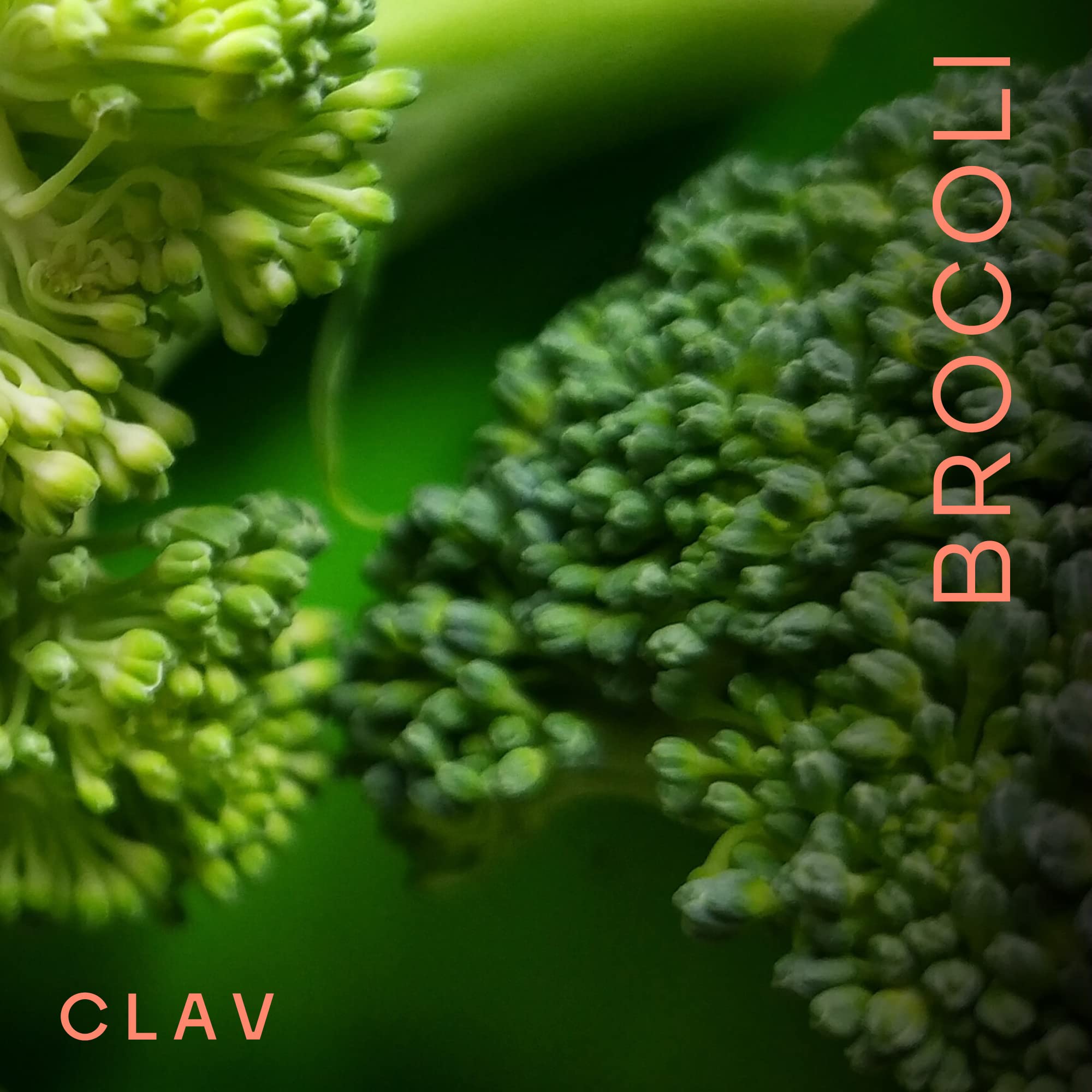 Extrait de Brocoli avec 10% Sulforaphane un puissant Anti-oxydant - 60 Brocolis Gélules Riches en Vitamines et Minéraux - Doses élevées pour 1 Mois - Certifié & Durable en Pot