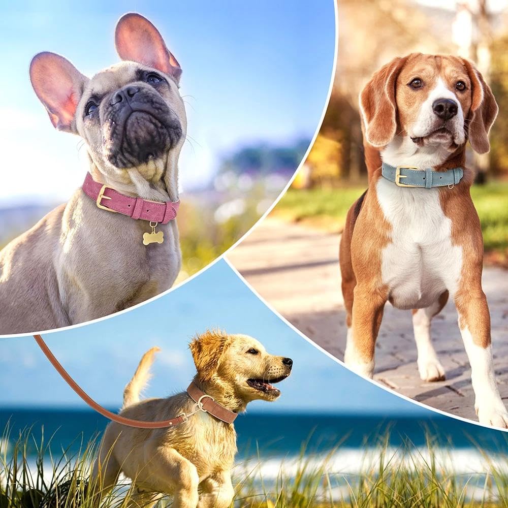 Regulowana skórzana obroża dla psa wyściełana obroża dla psa labrador pitbull owczarek niemiecki naszyjnik jednolity kolor skórzana obroża dla zwierząt domowych, niebieski, S