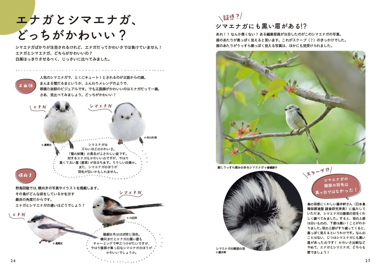 とことんエナガ シマエナガ Birder編集部 本 通販 Amazon
