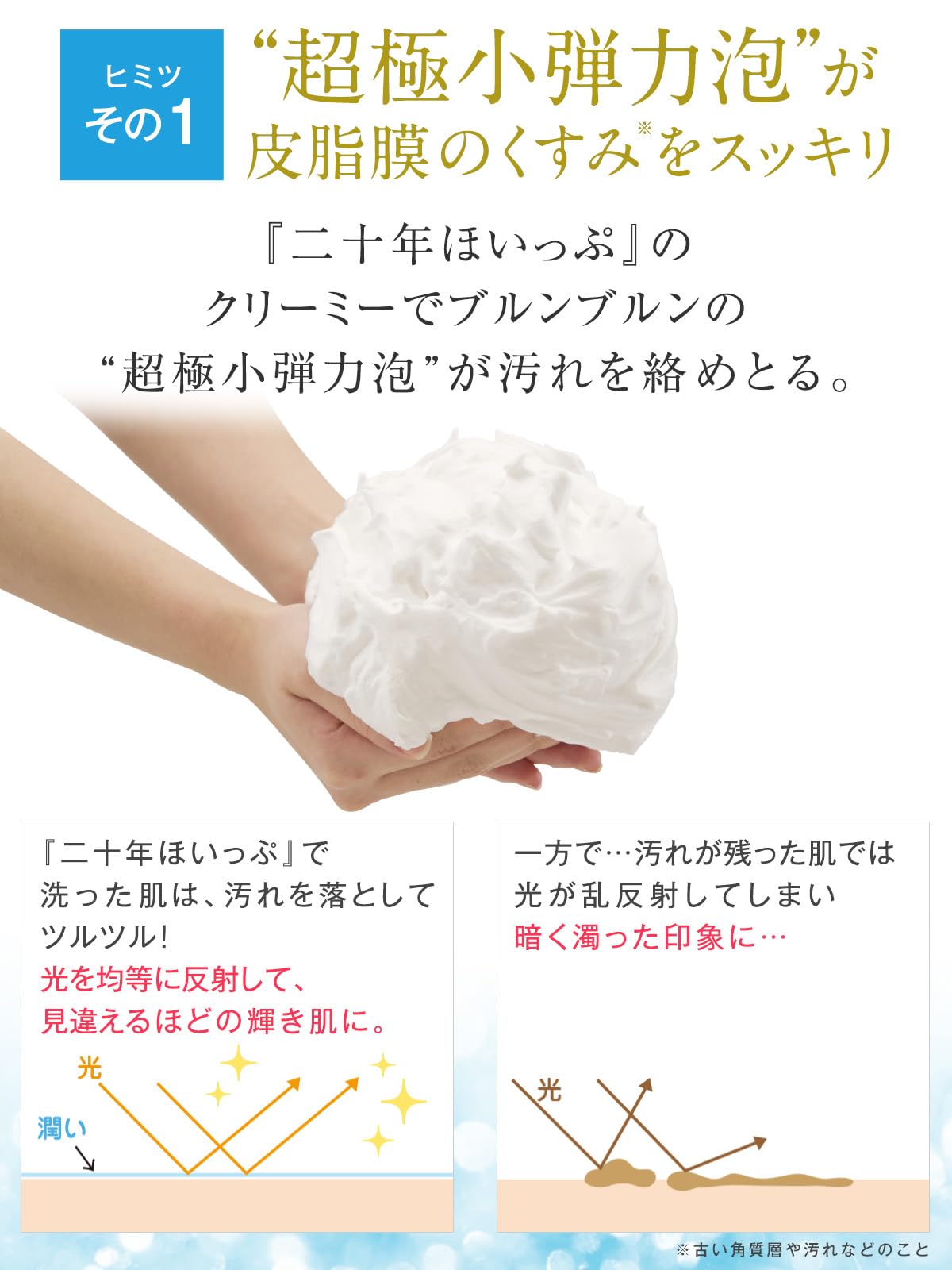 Amazon | 北の快適工房『二十年ほいっぷ』北海道 ホエイ 手作り 100g