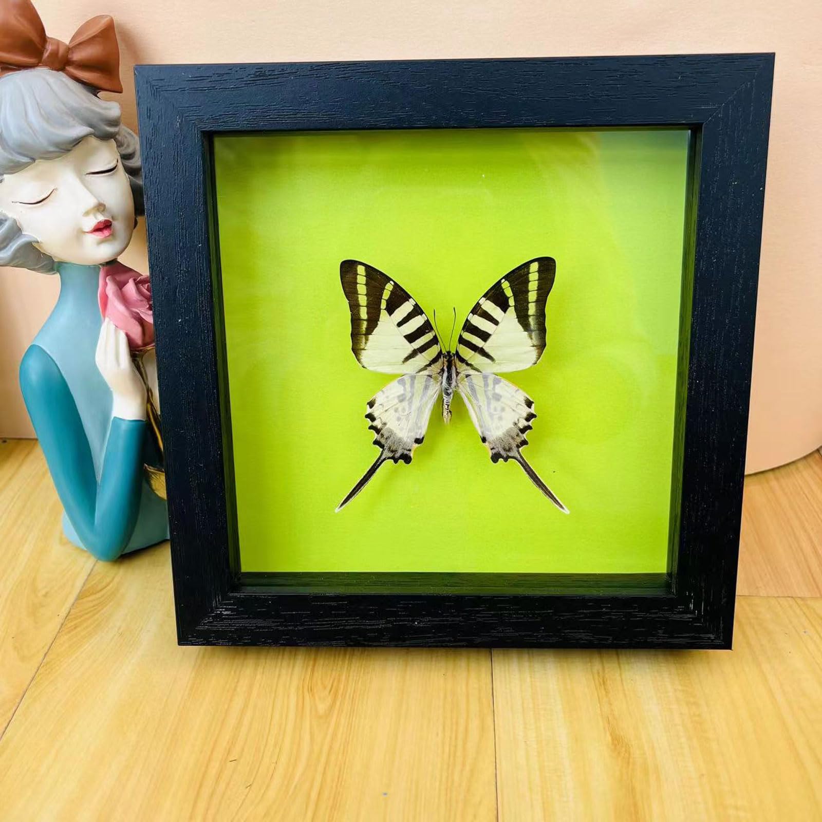 Guoyoocc 13 Taxidermy Mounted In Frame,Exquisite Butterflies Insect Specimen,Collection Of Butterfly,Unique Home Decor Wall Decoration Gift For Christmas Valentine Birthday,Real Butterfly Specimens17.6*17.6Cm