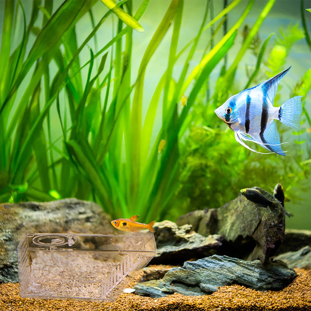 Joyzan Fischfalle Catcher Box, Süßwasserkrabbenfalle Acryl Aquarium zum Fangen von Garnelen Krabben Hausgarten Büro Fisch Süßwasser Krabbenfalle One Way Trap Fischzuchtbox Transparent Einwegventil