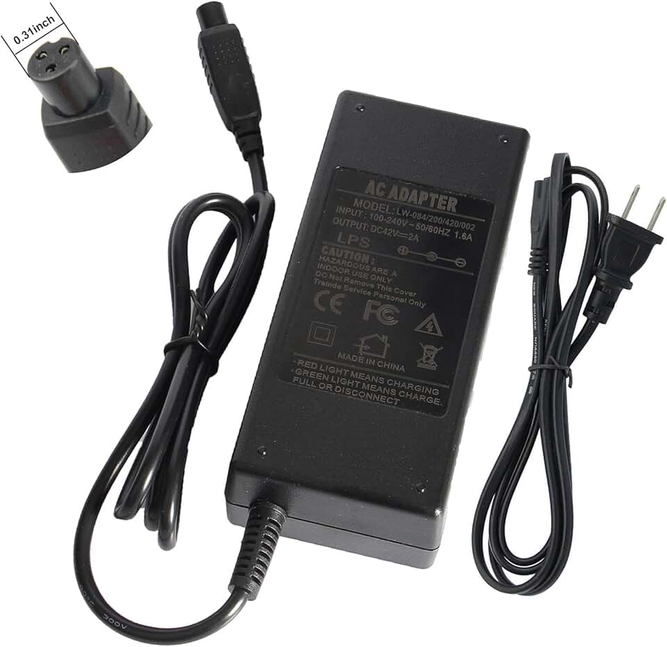 self balancing scooter charger