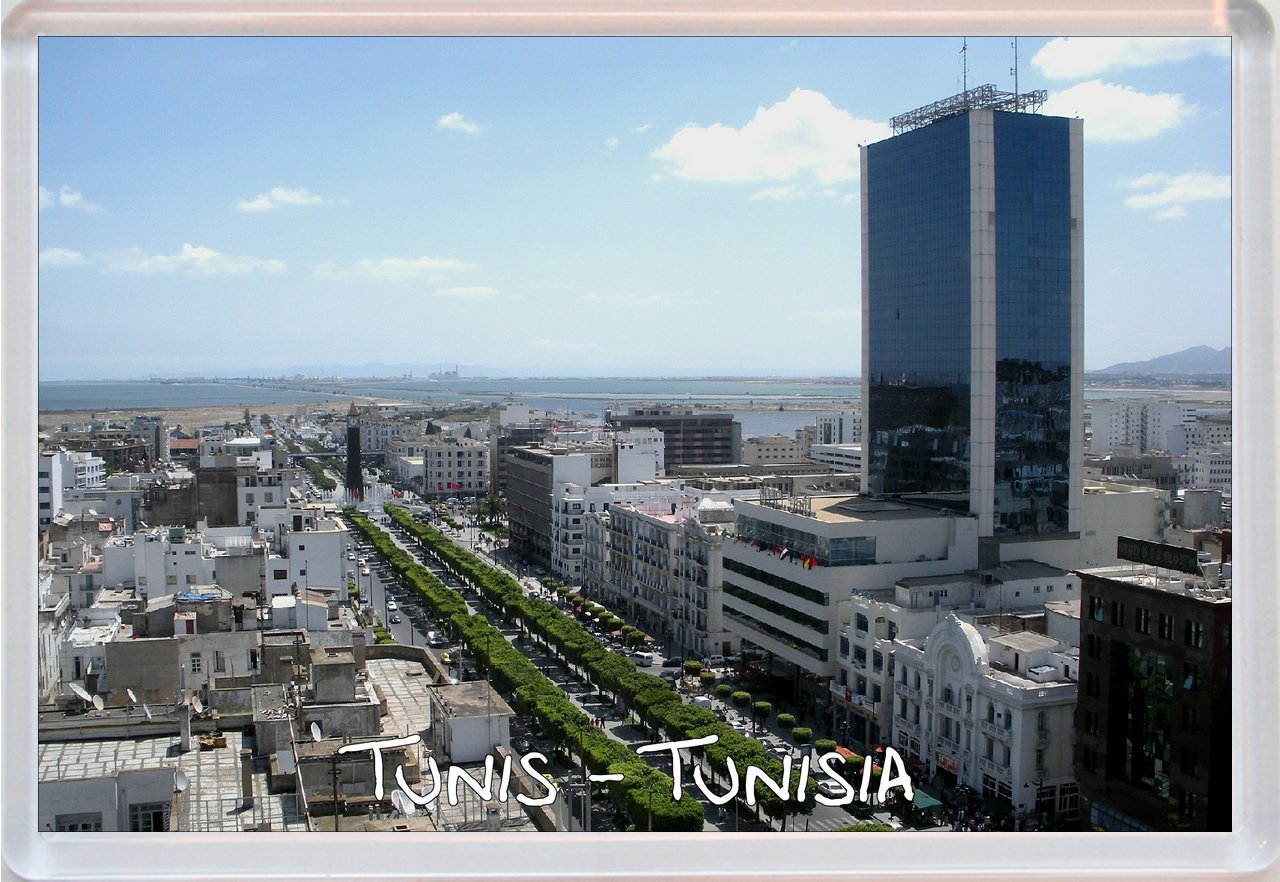 Tunis - Tunisia - Jumbo Fridge Magnet
