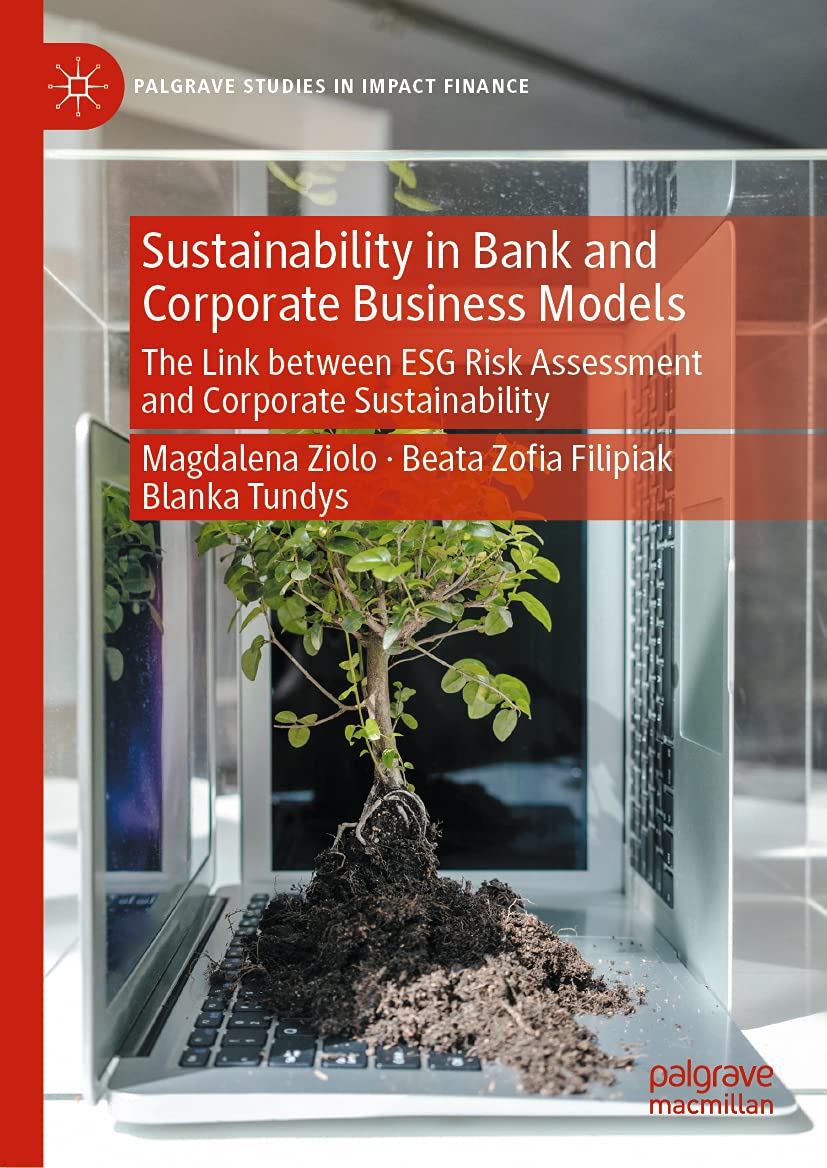 Sustainability in Bank and Corporate Business Models: The Link between ESG Risk Assessment and Corporate Sustainability (Palgrave Studies in Impact Finance)