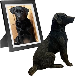 Personalized Dog Cat Gypsum Full Body Figurines Sculpture Custom Pet Plaster Statue Animal portraits Mememorial gifts Figure