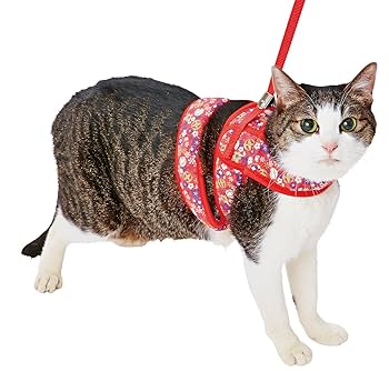 ストロベリー猫猫ページ ストロベリー猫猫様専用ページ