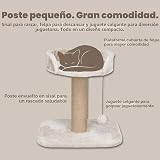 Ver la foto 3