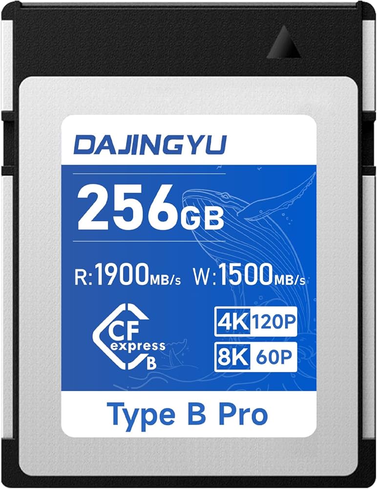 Amazon.com: DAJINGYU 256GB CFexpress Type B Memory Card Up to 1900