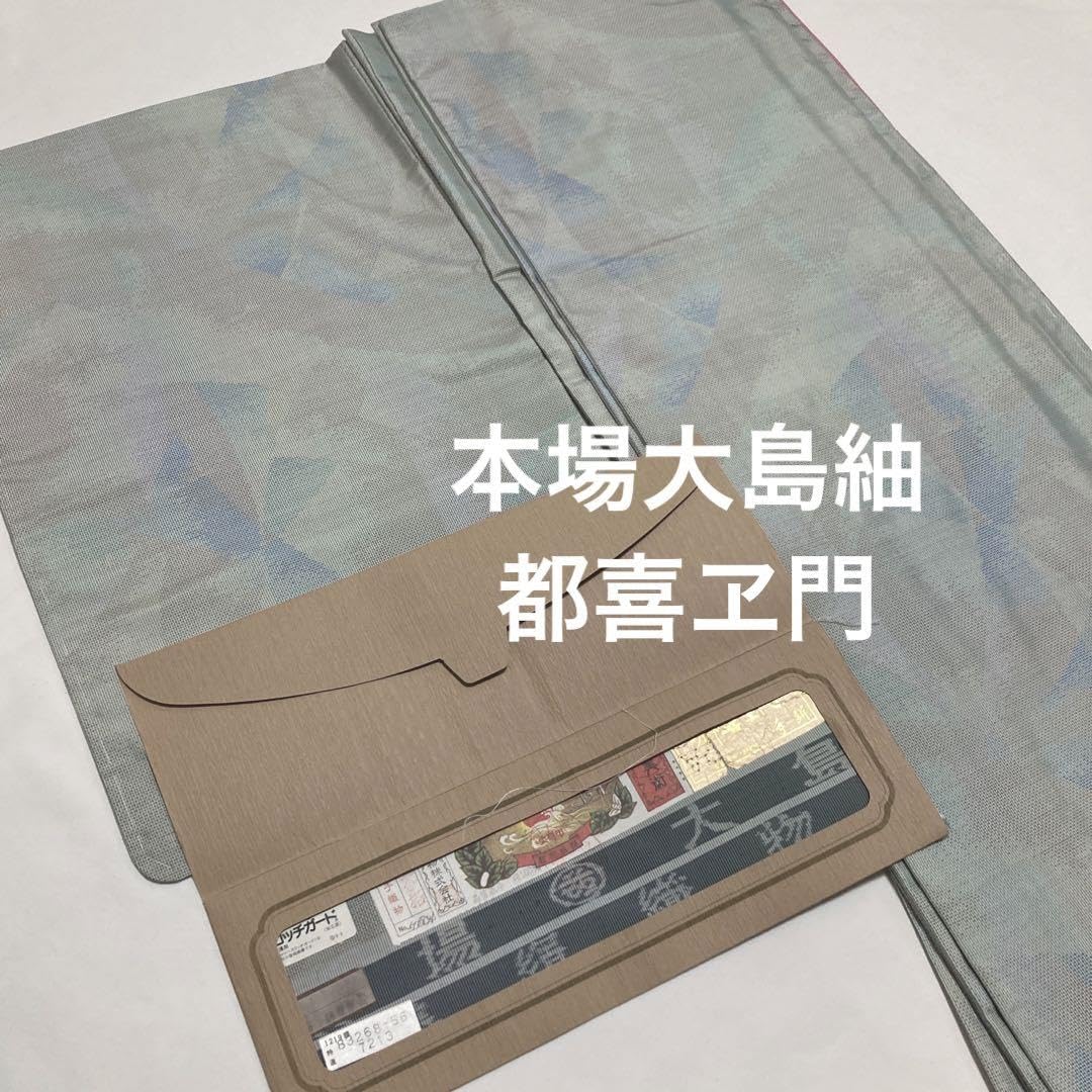 本場大島紬【都喜ヱ門】藤絹織物 色重ね文様 正絹 証紙付 袷着物 灰青白色 本場大島紬 都喜ヱ門 藤絹織物 袷 着物 藤白泥 横双 ライトグレー 道長