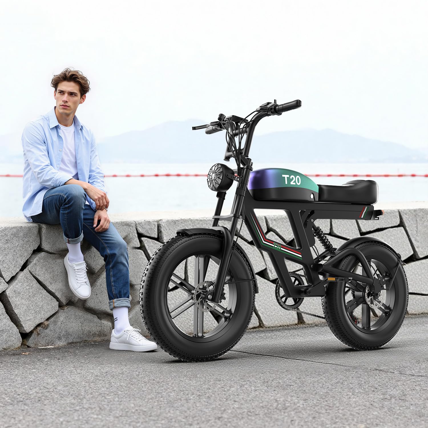 ASKGO E Bike Herren Damen, 48V 20Ah Akku, 20 * 4.0" All-Terrain Fat Reifen Elektrofahrrad mit 250W 80N*M Motor, bis 25km/h bis zu 60-80km, NFC und Passwort Entsperrung