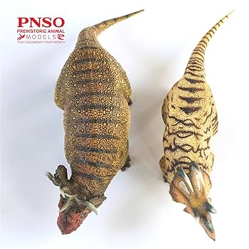 Amazon | PNSO 成長シリーズ 41 マカイロケラトプス 恐竜